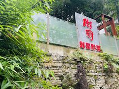 -树厨贵州菜(铜仁花果山店)