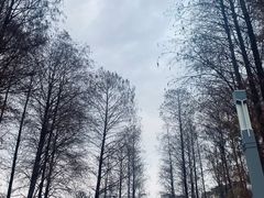-四海公园(南山区)