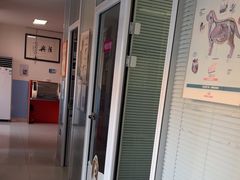 -瑞派福兴宠物医院犬猫全科·骨科·中西医结合(河东店)