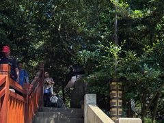 -普陀山慧济禅寺