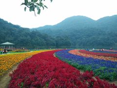 -广州市石门国家森林公园