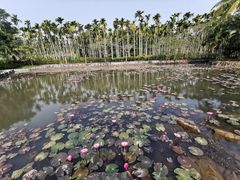 -红色娘子军纪念园