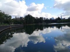 -四海公园(南山区)