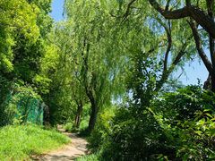 -新江湾城公园