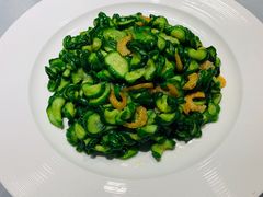 小伙炒黄瓜-船歌·鱼水饺青岛菜(闽江二路店)