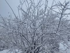 -太子岭滑雪场