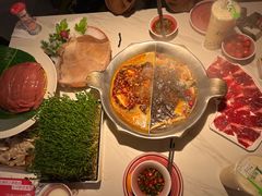 -九鼎轩脆毛肚火锅(三钢里店)