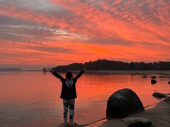 -瑶湖郊野森林公园