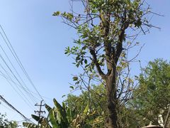 -悦哉·派对·草坪婚礼·围炉煮茶(三圣乡店)