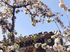 -海棠花溪(元大都城垣遗址公园)