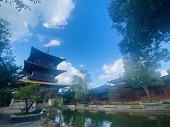 -哥老官重庆美蛙鱼头(松江地中海十八哥店)