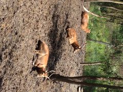 iphone_upload_pic-溱湖国家湿地公园