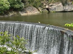 -九鲤湖风景区