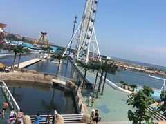 -秦皇岛乐岛海洋王国