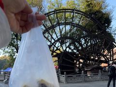 -蔺大妈松花糕