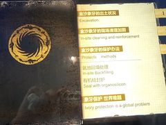 -金沙遗址博物馆