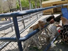 -长白岛森林公园