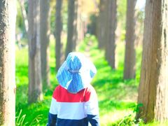 -前小桔亲子创意农场·草莓采摘·露营烧烤