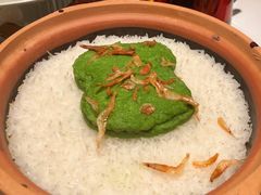 -新兴·金羊座·粤菜点心(乐峰店)