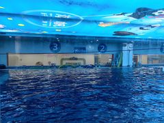 -海帆亲子游泳(顺义店)