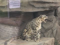 -青藏高原野生动物园
