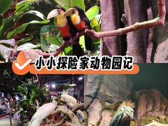 -正佳雨林生态植物园