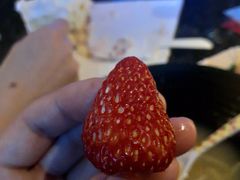 -欢乐星KTV全国连锁(盛融店)