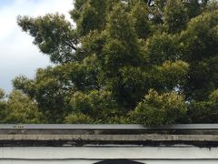 -溪口-滕头旅游景区