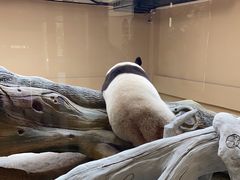 -宁波野生动物园