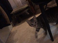 -逃脱反斗城沉浸剧情密室(北京路店)