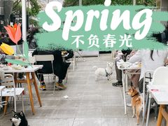 -the rug 飞毯 (朝阳公园店)