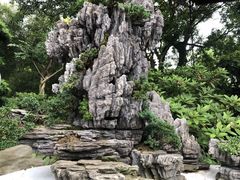 -南山植物园