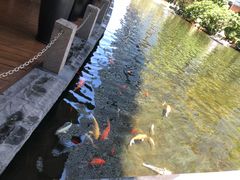 -春满园·早茶·粤菜·宴会(前海店)