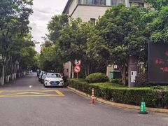 -大华梧桐墅大公馆