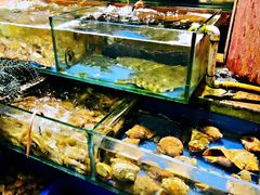水产区-香满居张记小厨私房菜(青岛站店)