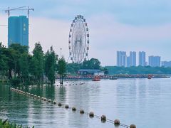 -飞来湖湿地公园