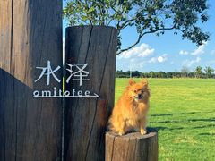 -omitofee咖啡(水泽店)