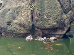 -青芝山风景名胜区