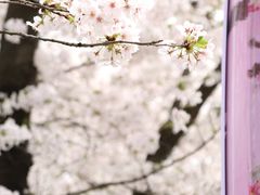 -南浦大桥长途旅游客运站