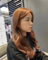 点击看大图 -藤野造型