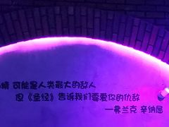 -枫林晚音乐串吧