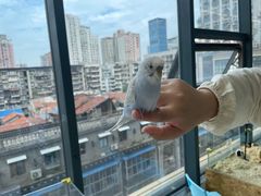 -怪兽屋·羊驼·猫咖·狗咖(俊华广场店)