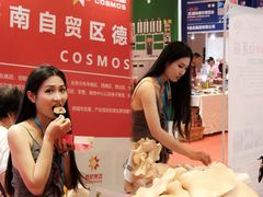 -三亚湾红树林国际会展中心(演出售票)