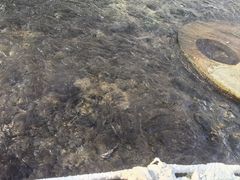 -水磨沟公园