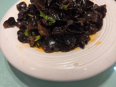 -老雒阳面馆·水席·洛阳菜(偃师店)