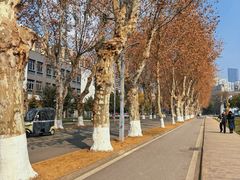 -四川大学(望江校区)
