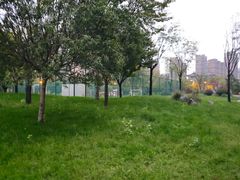 -唐城墙遗址公园