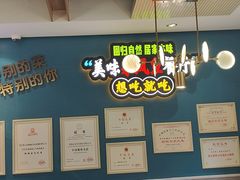 -新概念来凤鱼(璧山店)