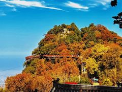 -少华山国家森林公园