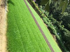 -韶山毛泽东同志故居